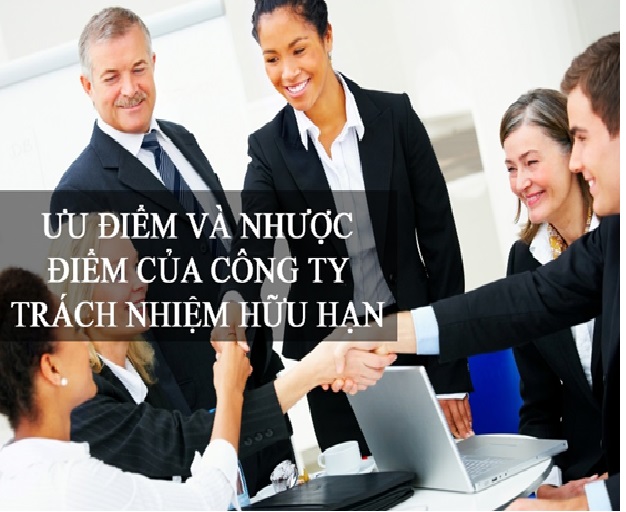 Những ưu điểm và nhược điểm của Công ty TNHH một thành viên và Công ty TNHH hai thành viên trở lên