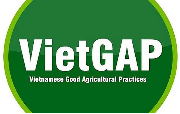 XIN GIẤY CHỨNG NHẬN VietGAP